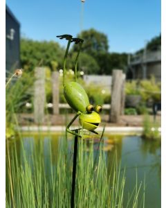 Yoga Frogs - Der Taucher, Gartenstecker, klein